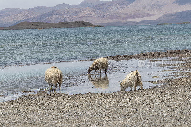 青海的风景stock photo